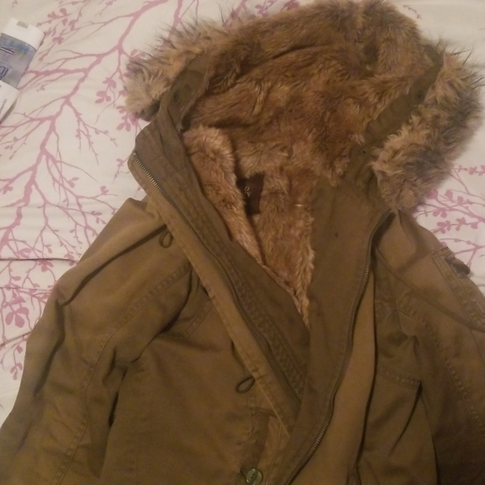 Winter Coat